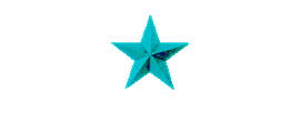 Lone Star Marina